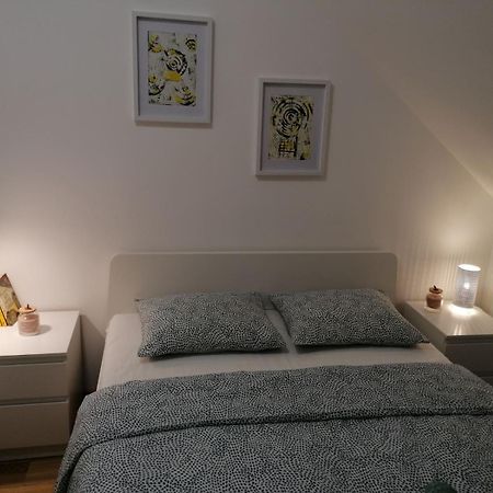 Apartman 11 Breza ズラティボール エクステリア 写真