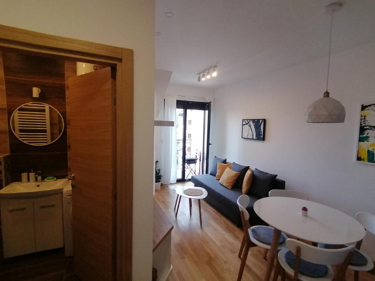 Apartman 11 Breza ズラティボール エクステリア 写真