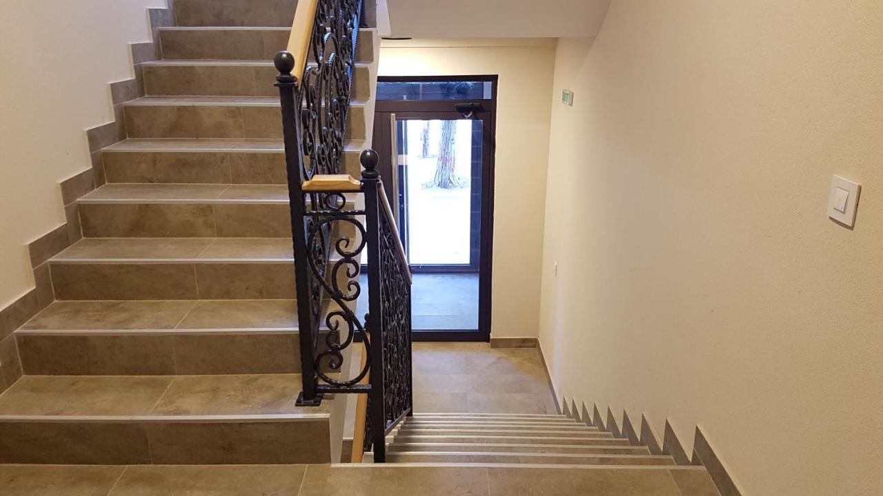 Apartman 11 Breza ズラティボール エクステリア 写真
