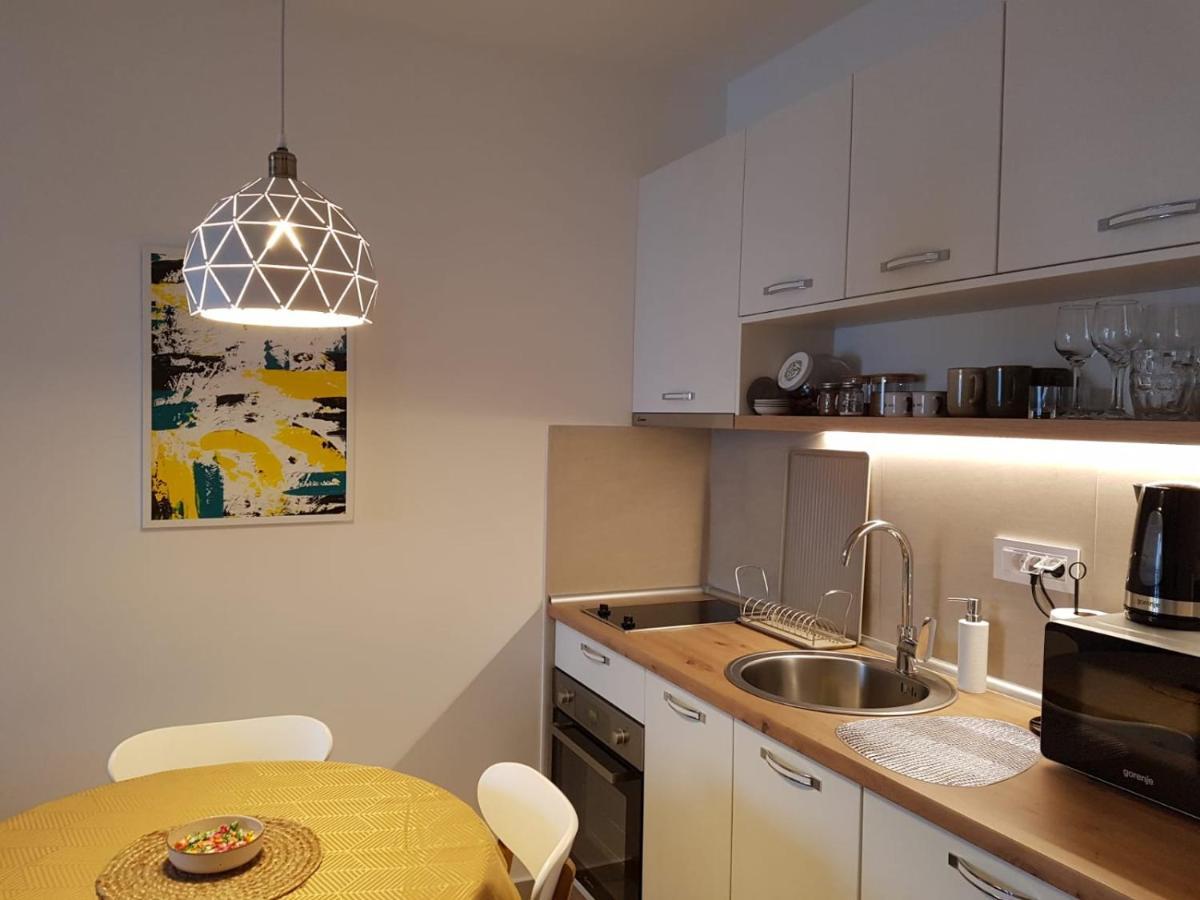 Apartman 11 Breza ズラティボール エクステリア 写真