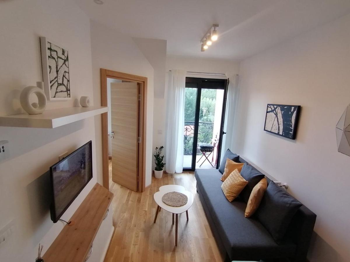 Apartman 11 Breza ズラティボール エクステリア 写真