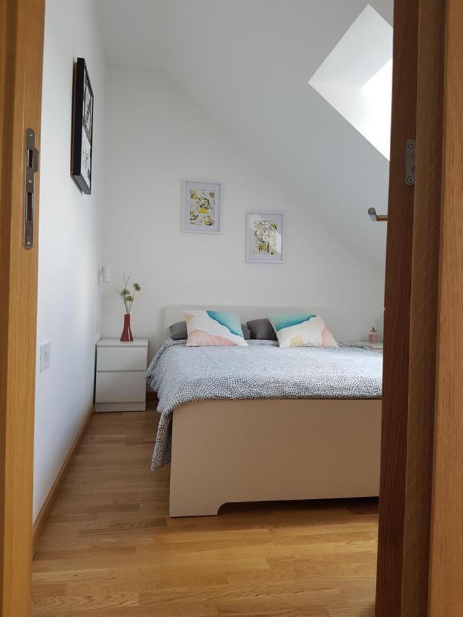 Apartman 11 Breza ズラティボール エクステリア 写真